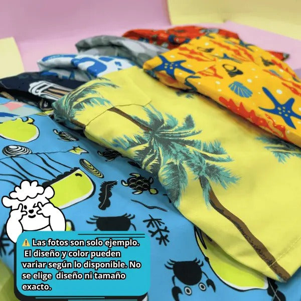 Kit de short + 1 par de chanclas para hombre Ye Store